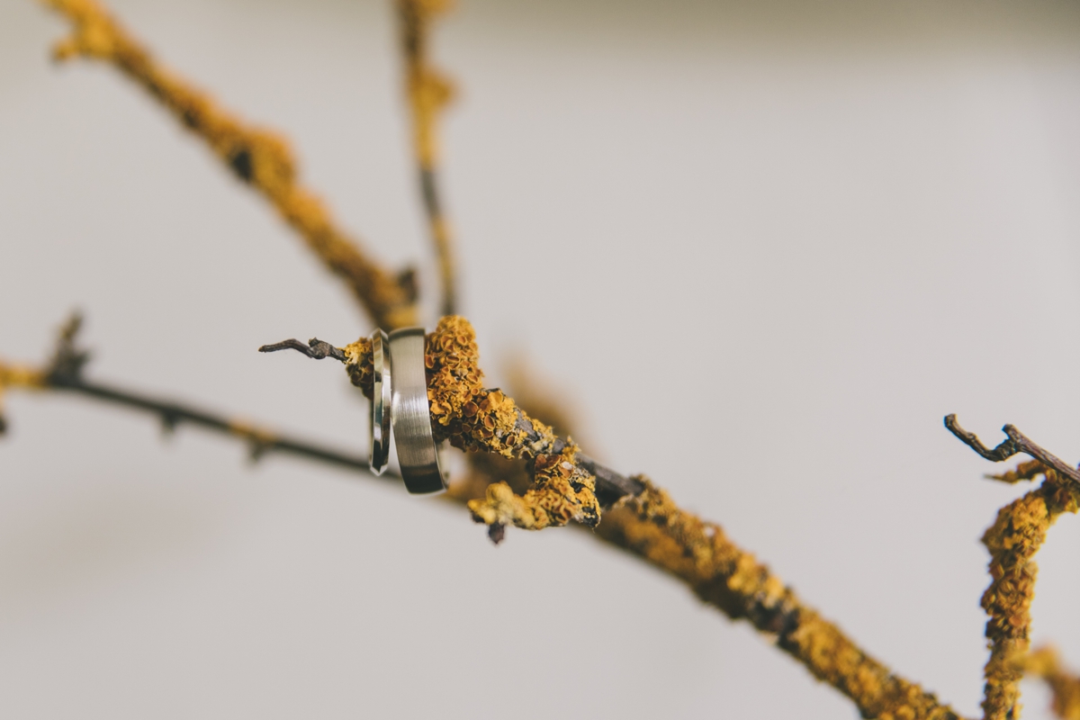 One Day Collective — photo 17 of 18